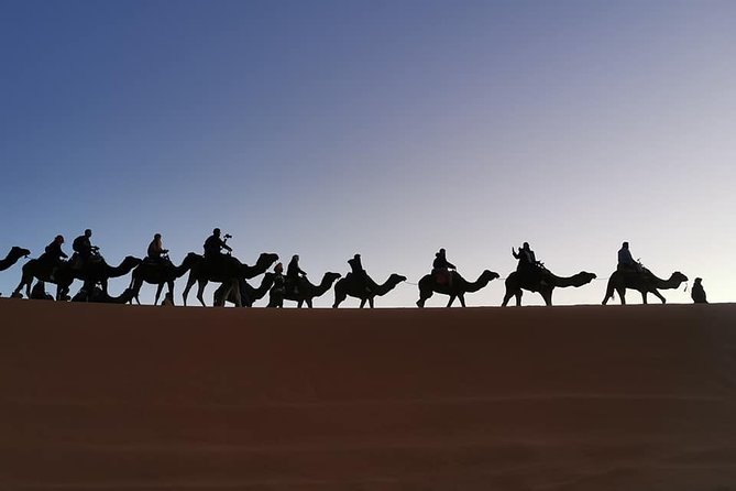 7 Days Discovery The Atlas Mountains & Luxury Sahara Desert From Casablanca - Day 4: Cedar forests, Ziz Gorge, and the Sahara camp