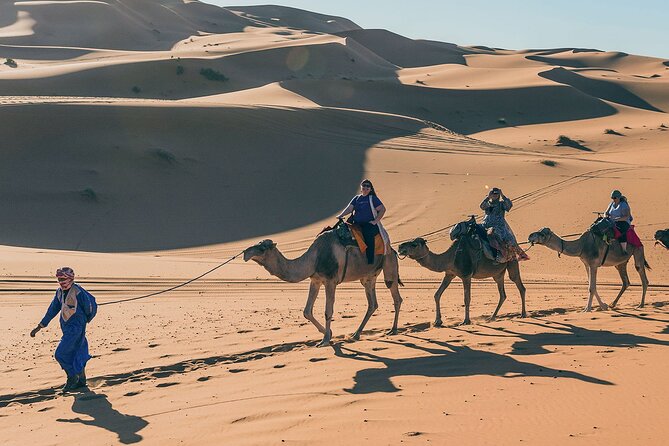 7 Days Luxury Desert Tour From Casablanca to Marrakech via fez -Camel trekking - Day 5: Ait Ben Haddou and the road to Marrakech