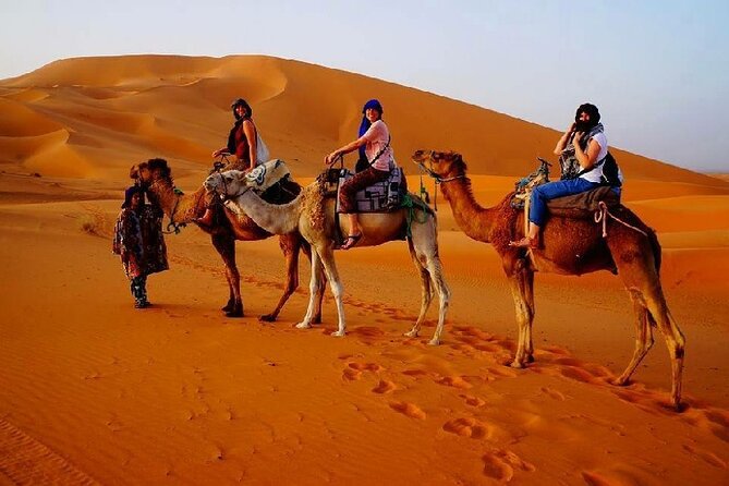 7 Days Luxury Desert Tour From Casablanca to Marrakech via fez -Camel trekking - Day 6: Marrakech’s palaces, tombs, and souks