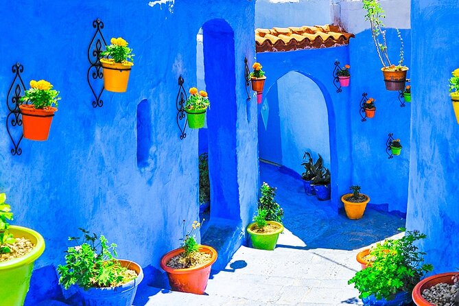 7 Days Luxury Desert Tour From Casablanca to Marrakech via fez -Camel trekking - Day 7: Airport transfer and the Casablanca question
