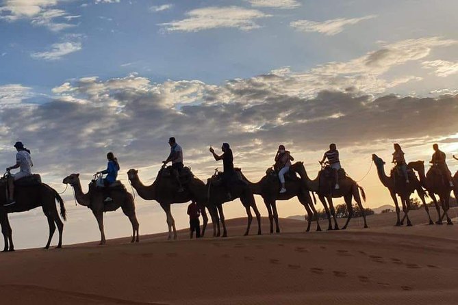 8-Day Morocco Adventure: Imperial Cities & Sahara Desert Trek - Day 2: Volubilis, Meknes, and Arrival in Fez