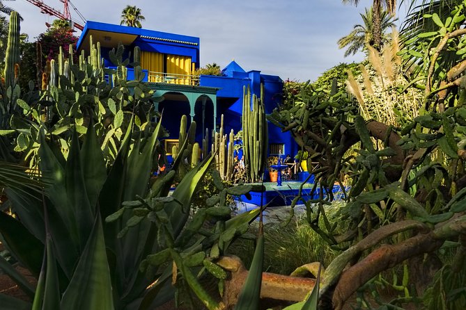 8 - Day Morocco Tour from Casablanca via Chefchaouen & Desert - Fez: four hours in the old medina is only a beginning