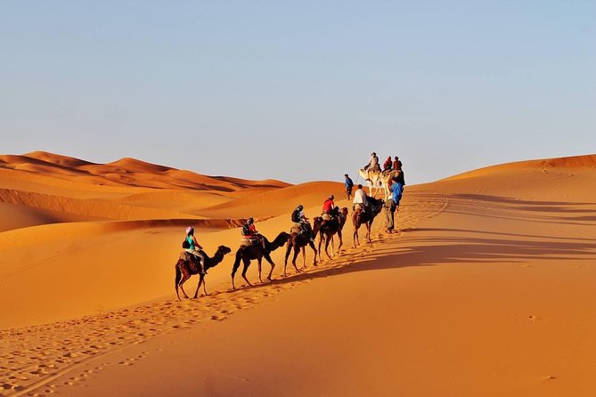 8 - Day Morocco Tour from Casablanca via Chefchaouen & Desert - Rissani, Todra, and Dades Valley