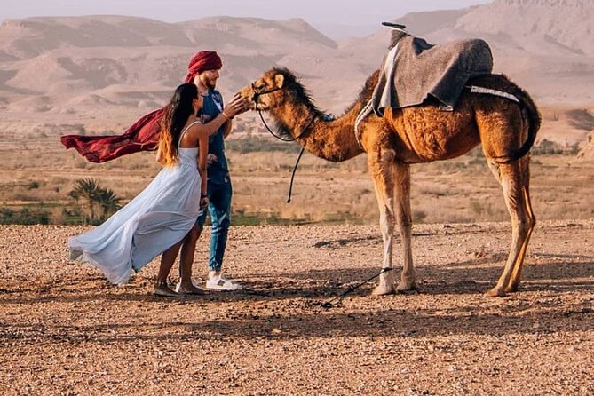 8D Morocco Luxury Private Tour From Casablanca By Imperial Cities - Day 4: Cedars, mountain passes, and the Sahara