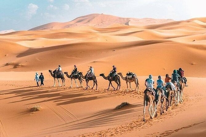 8D Morocco Luxury Private Tour From Casablanca By Imperial Cities - Day 5: Sunrise, Rissani, Todra Gorge, and Dades