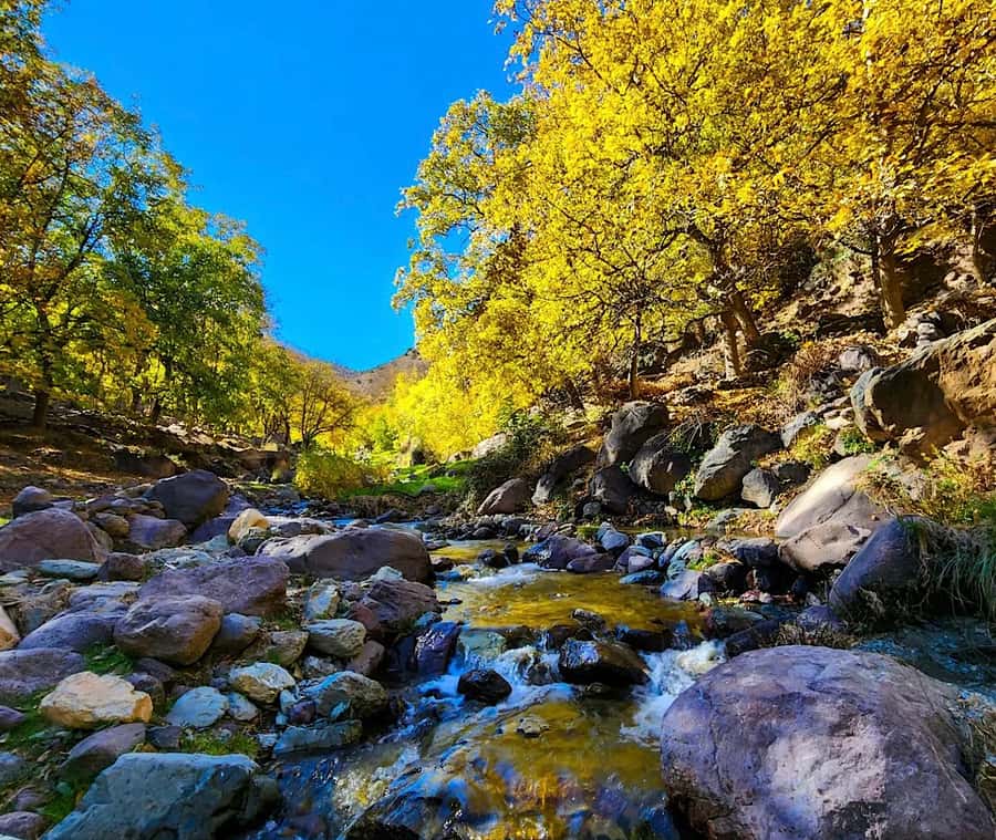A Day With The Berbers - 3 Valleys Day Trip from Marrakech - Who should book this day trip?