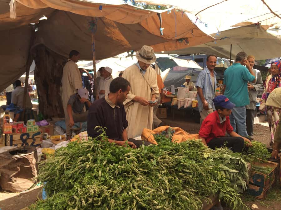 A Day With The Berbers - 3 Valleys Day Trip from Marrakech - Lunch with mountain views