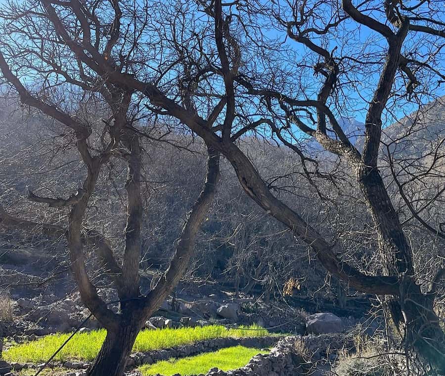 A Day With The Berbers - 3 Valleys Day Trip from Marrakech - What $17 really gets you