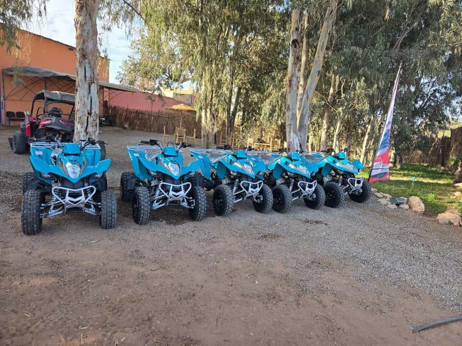 Agadir : 2 h Quad biking excursion with moroccan tea - Two hours on the sand near Agadir