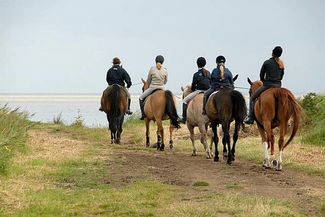 Agadir 2-Hour Horse Riding Experience with Pickup - Mint tea, photos, and facilities after riding