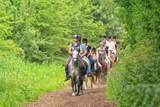Agadir 2-Hour Horse Riding Experience with Pickup - Is $40.65 good value?