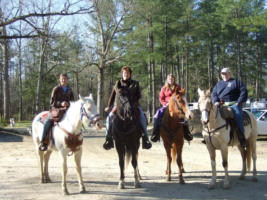Agadir 2hours Horse Riding visite the flamingo river - How the Price Compares with the Experience