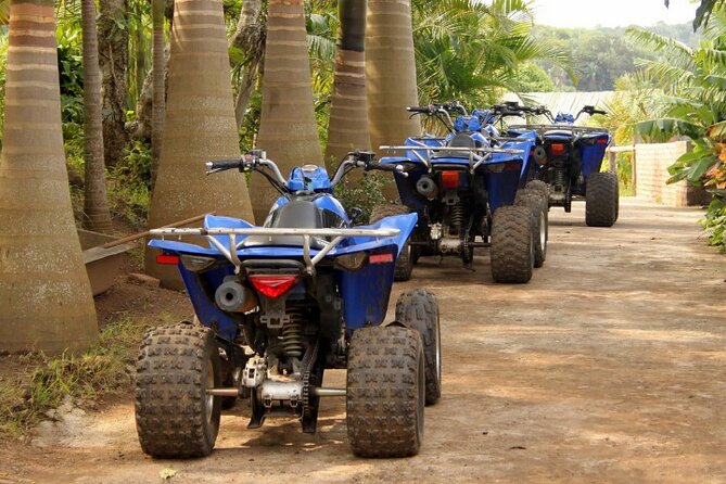 Agadir Adventure Tour with Quad Biking Experience - The Berber tea stop and a detail worth confirming