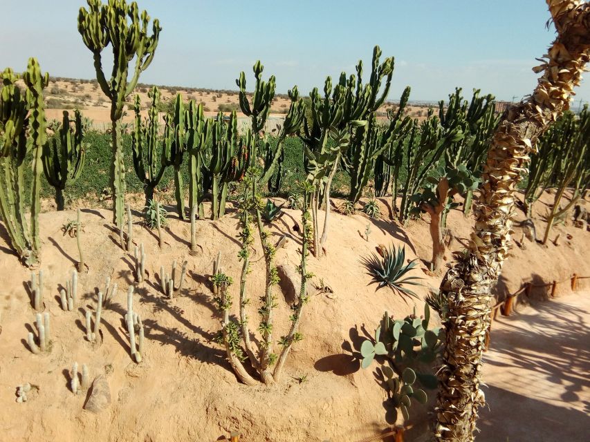 Agadir: Agadir Crocodile Park Adventure - Timing, comfort, and practical planning