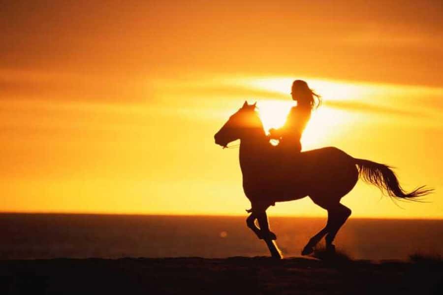 Agadir and Taghazout: 2-Hour Horseback Ride on the Beach - Key points to know before booking