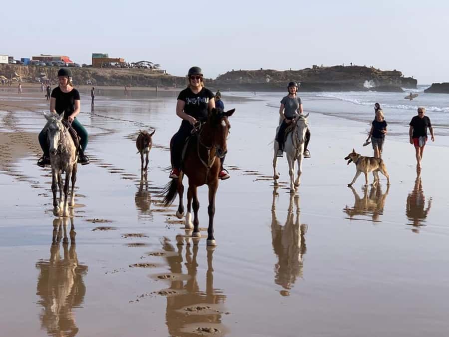 Agadir and Taghazout: 2-Hour Horseback Ride on the Beach - Who will enjoy this ride most