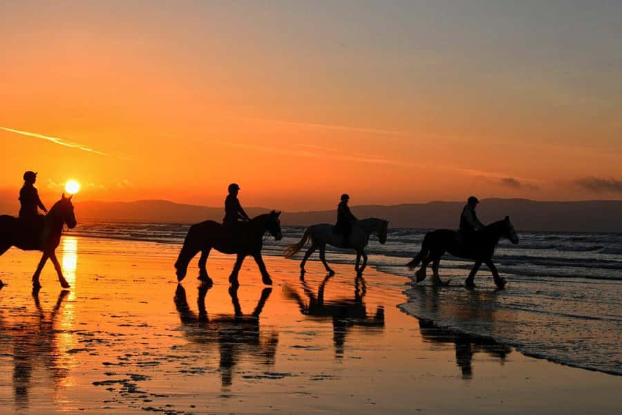 Agadir and Taghazout: 2-Hour Horseback Ride on the Beach - A beach ride with a Moroccan sunset
