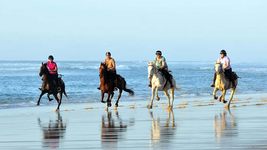 Agadir and Taghazout: 2-Hour Horseback Ride on the Beach - Meeting the horses and choosing your pace