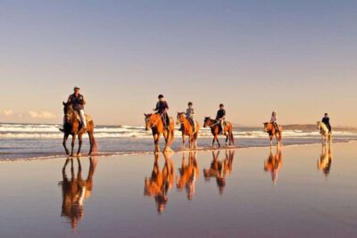 2-Hour Horseback Ride on the Beach