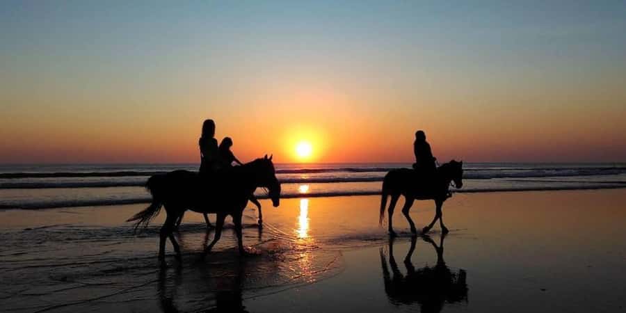 Agadir and Taghazout: 2-Hour Horseback Ride on the Beach - The 90-minute route along the coast