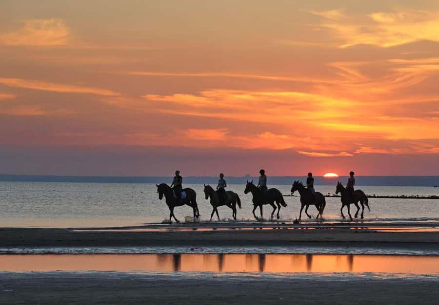 Agadir and Taghazout: 2-Hour Horseback Ride on the Beach - How the guides handle mixed abilities