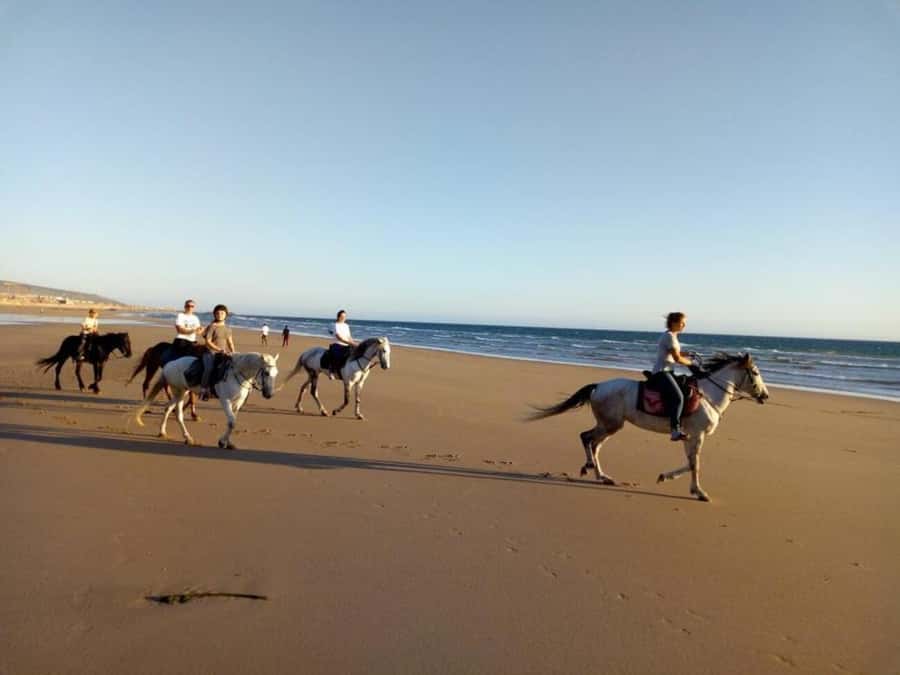 Agadir and Taghazout: 2-Hour Horseback Ride on the Beach - What the $176 price gives you