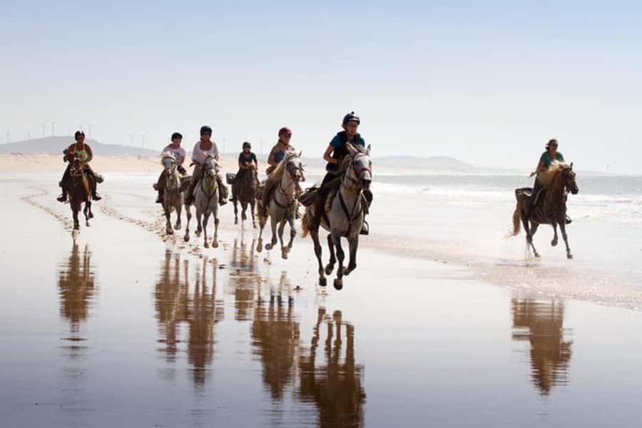 Agadir and Taghazout: 2-Hour Horseback Ride on the Beach - The small drawbacks to keep in mind
