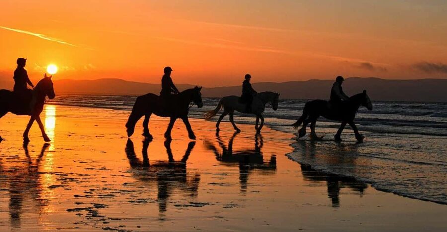 Agadir and Taghazout: Morning Horse Ride on The Beach - Who will enjoy this ride most