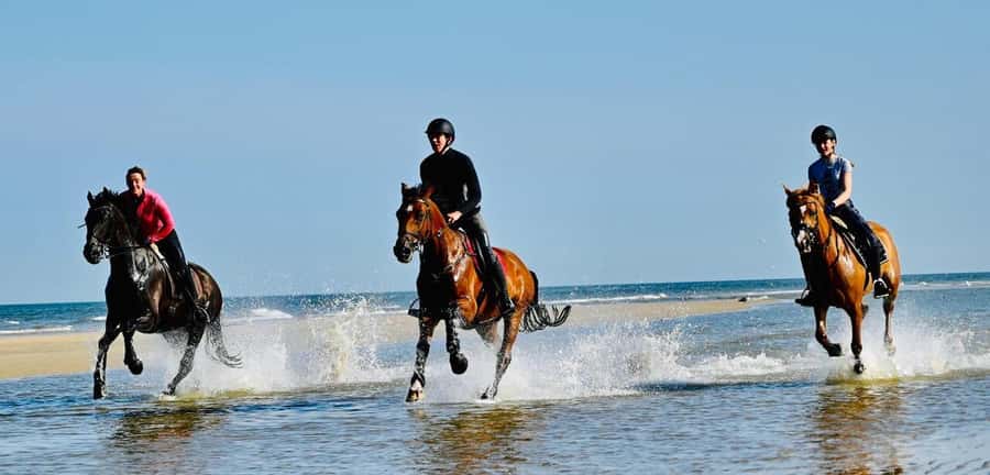Agadir and Taghazout: Morning Horse Ride on The Beach - Photos, comfort, and small practical points