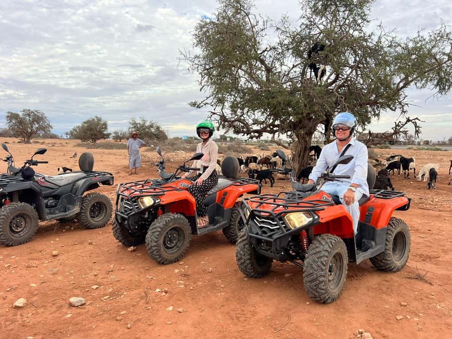Agadir: ATV Quad Biking and Goats On Argan Trees with Tea - Key points before you book