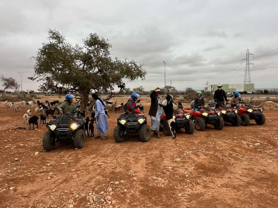 Agadir: ATV Quad Biking and Goats On Argan Trees with Tea - How safe and family-friendly is it?