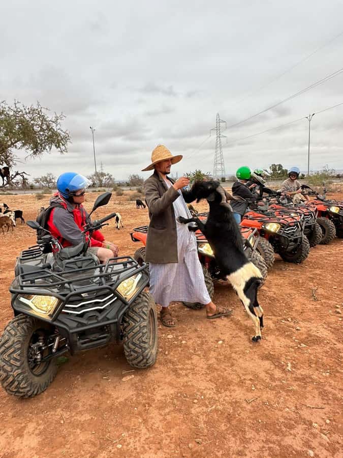 Agadir: ATV Quad Biking and Goats On Argan Trees with Tea - What the guides add to the day