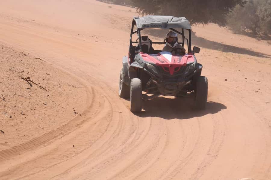 Agadir: Buggy Adventure with Hotel Transfers - Forest tracks offer a quieter change of pace