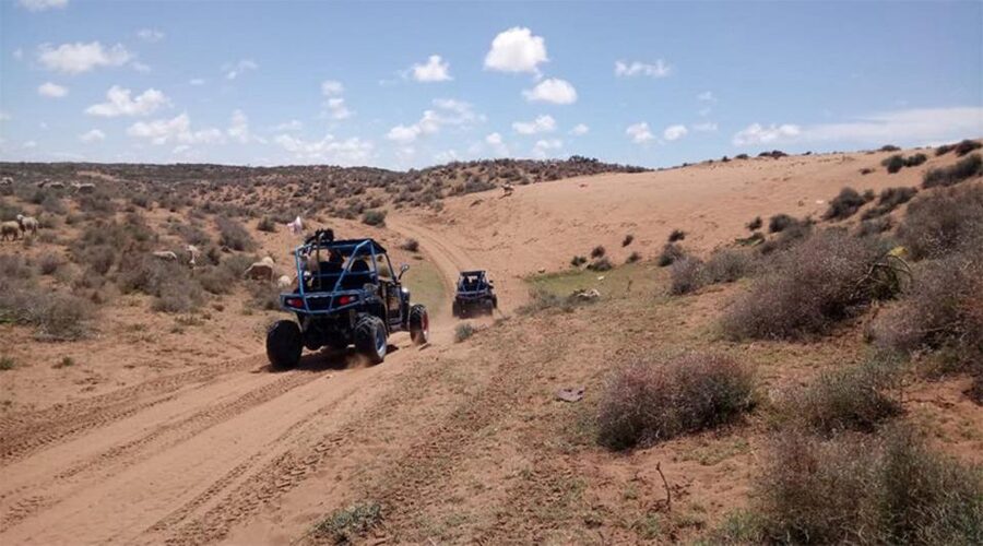 Agadir: Buggy Safari Adventure - Should you book it?
