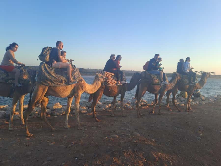 Agadir: Camel or Horse Ride + BBQ & Transfer Sunset Optional - Choosing between the 10:00, 15:00, and 17:00 departures