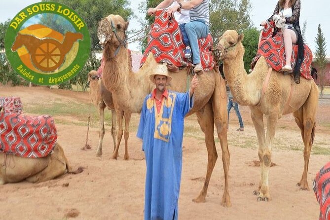Agadir Camel Ride Experience - Key points to know before you book