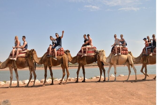 Agadir Camel Ride Experience - Returning to tea, cakes, and a quiet finish