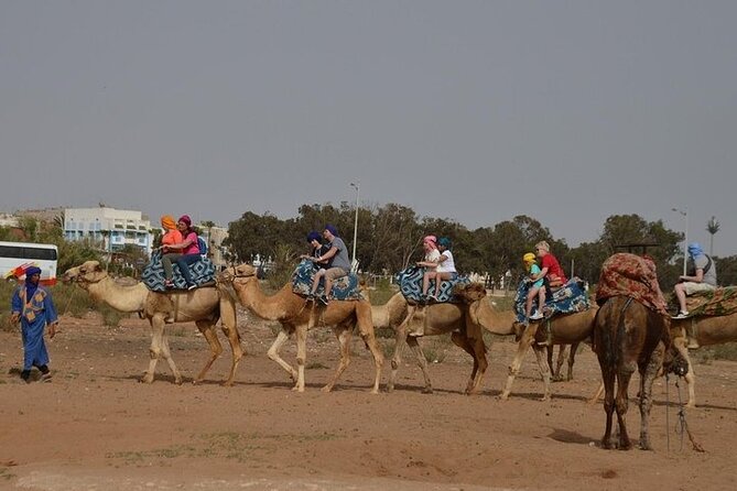 Agadir Camel Ride Experience - Is $42.97 good value?