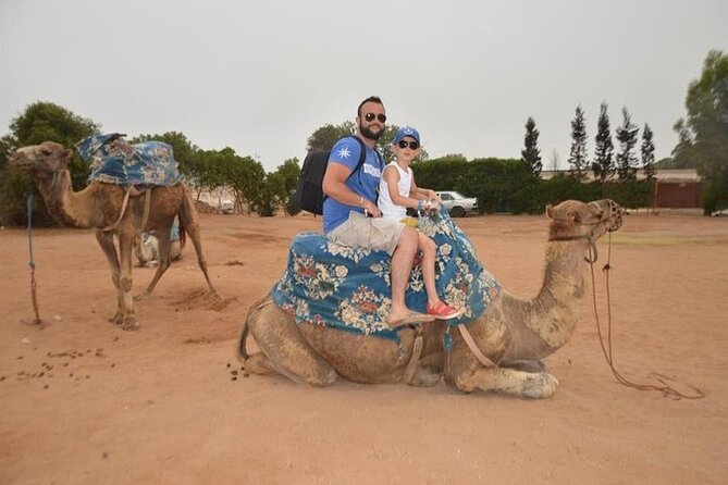 Agadir Camel Ride Experience - Timing, weather, and what to wear