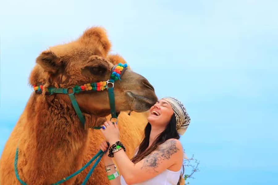 Agadir: Camel Ride Experience With Dinner Option - Key points to know before booking