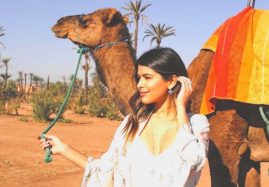 Agadir: Camel Ride Experience With Dinner Option - What the dinner option adds
