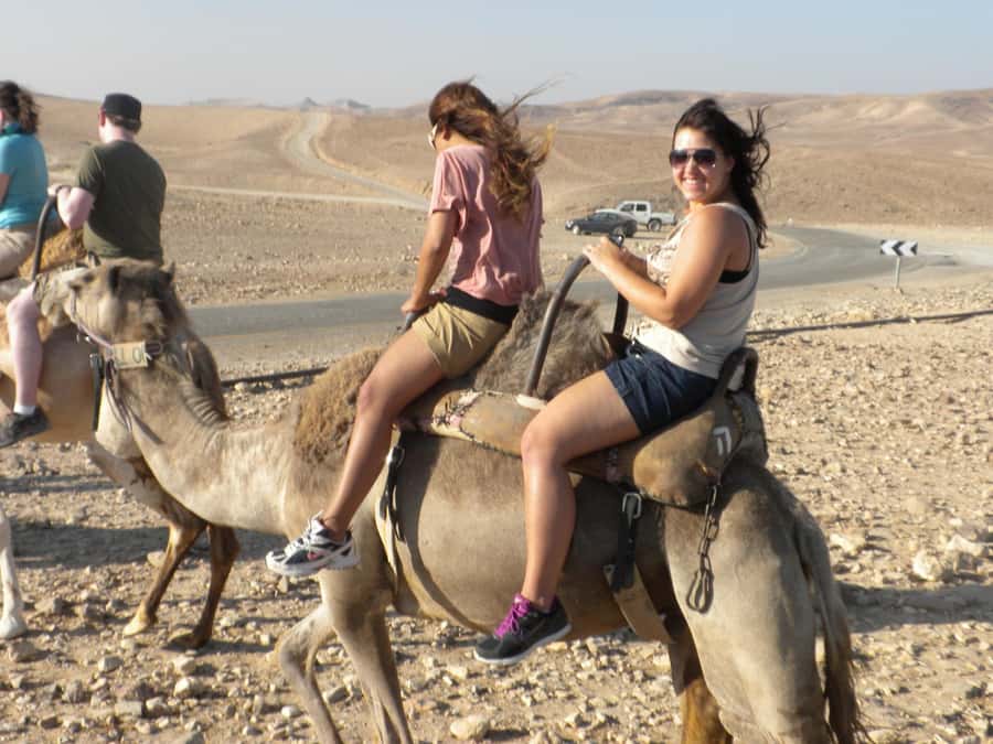 Agadir Camel Ride Flamingo River & BBQ Dinner - Key points to know before you book