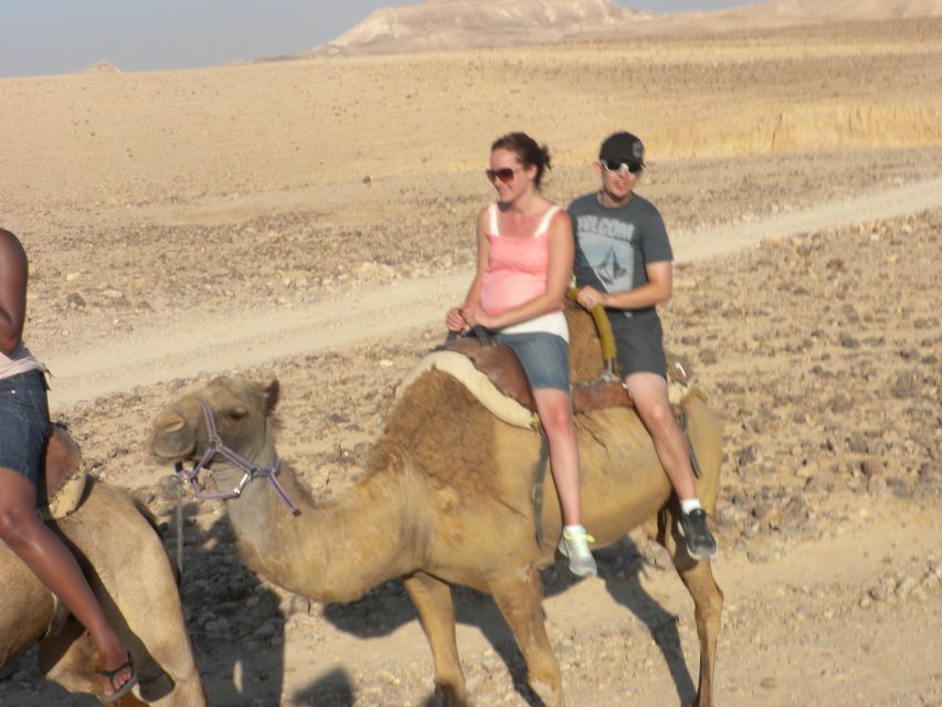 Agadir Camel Ride Flamingo River & BBQ Dinner - Practical tips for a smoother ride
