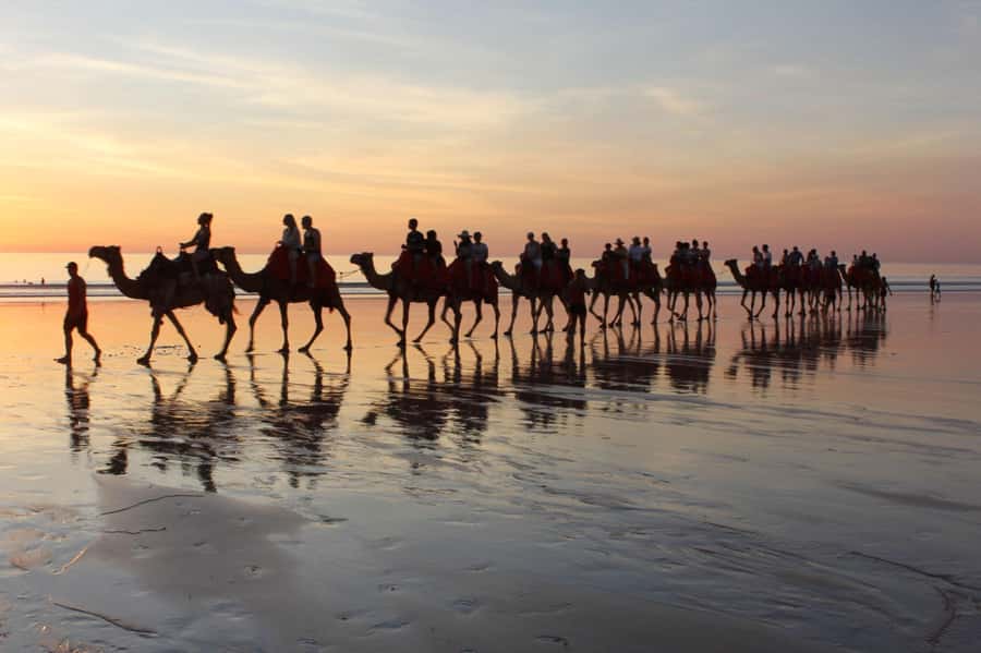 Agadir: Camel Ride With Tea - Key points to know before booking