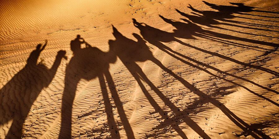 Agadir: Camel Ride With Tea - What the $20 price really buys