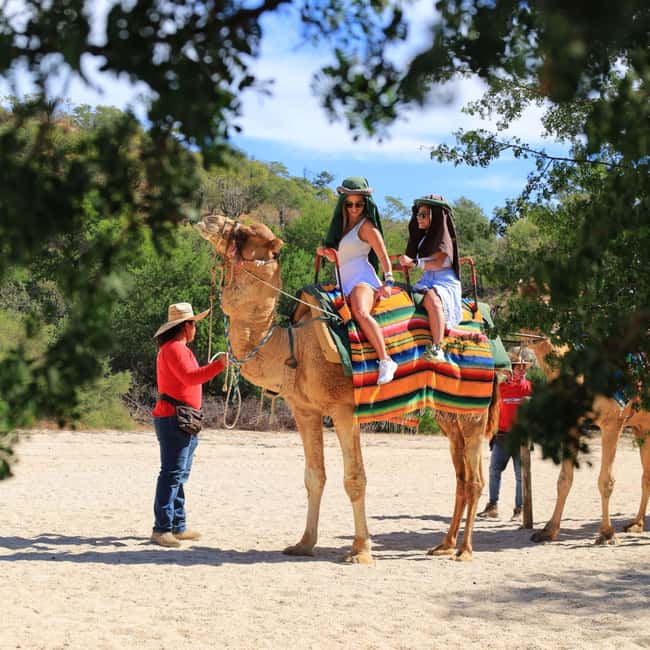 Agadir: Camel Ride With Tea & BBQ Dinner Option - A camel ride beside Agadir, not across endless dunes