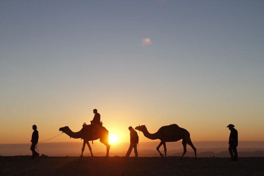Agadir: Camel Ride With Tea & BBQ Dinner Option - Is $23 a good value?