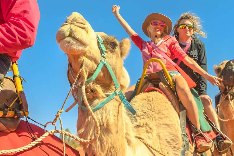 Agadir: Camel Ride With Tea & BBQ Dinner Option - Pickup from your hotel and the short drive to the ranch