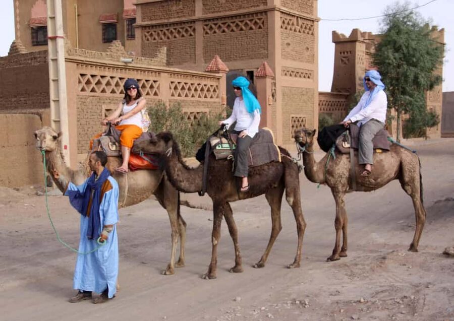 Agadir: Camel Ride With Tea & BBQ Dinner Option - Following the eucalyptus tracks toward the Souss River