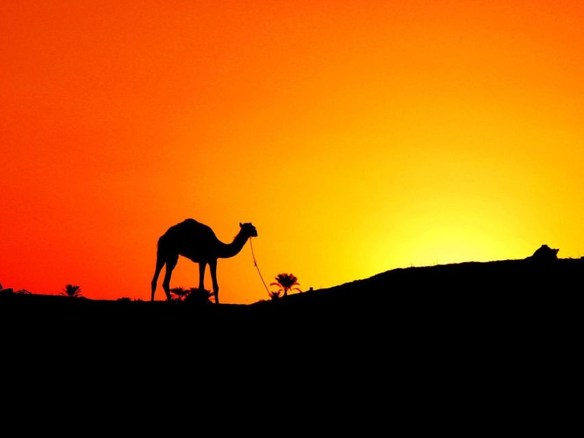 Agadir: Camel Ride With Tea & BBQ Dinner Option - Mint tea, biscuits, and the Moroccan welcome